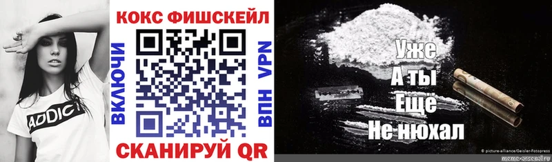Кокаин Fish Scale  Купить  Белогорск 