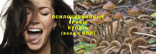 герыч Кинешма